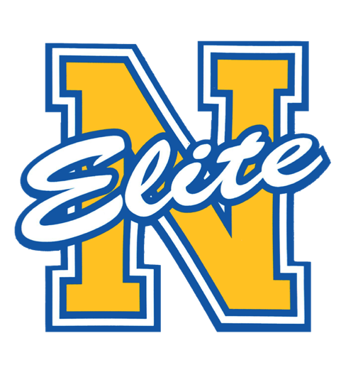 Nemesis Elite Gold Logo Nemesis Elite Gold Logo